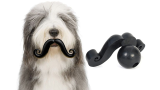 Illustration for article titled 7 Tools That'll Help You Master Your Movember Mustache